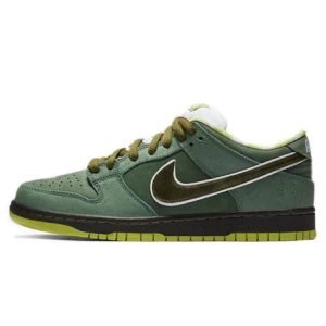 SB Dunks - 013