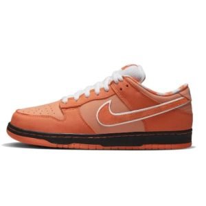 SB Dunks - 019