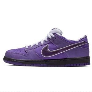 SB Dunks - 015